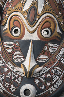Melanesia, Papua New Guinea, Sepik River area, Murik Lakes, ... von Danita Delimont