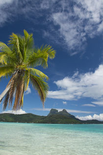 French Polynesia, Society Islands, Leeward Islands, Bora Bora by Danita Delimont