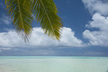 Cook Islands, Aitutaki by Danita Delimont