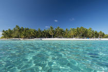 Palmerston Island, a classic atoll, discovered by Captain Co... von Danita Delimont