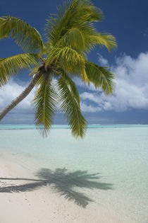 Cook Islands, Aitutaki von Danita Delimont
