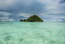 Little island in the Rock Islands, Palau, Central Pacific by Danita Delimont