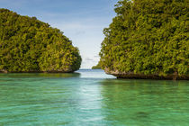 Little rock islet in the famous Rock Islands, Palau, Central Pacific von Danita Delimont