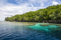 Rock Islands, Palau, Central Pacific by Danita Delimont