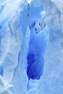 Argentina, El Calafate Moreno Glacier by Danita Delimont