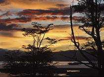 Argentina, Ushuaia, Sunrise von Danita Delimont