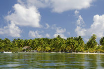 Belize, Stann Creek, Southwater Cay von Danita Delimont