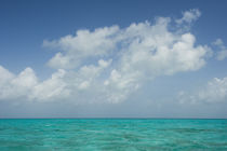 Caribbean Ocean von Danita Delimont