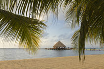 A palapa and sandy beach, Placencia, Belize von Danita Delimont