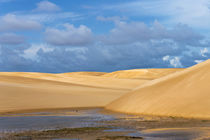 Sand dune in Lencois Maranheinses National Park, Maranhao St... by Danita Delimont