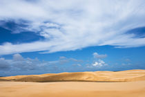 Sand dune in Lencois Maranheinses National Park, Maranhao St... von Danita Delimont