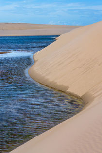 Sand dune and lagoon, Lencois Maranheinses National Park, Ma... by Danita Delimont