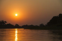 Sunrise on Cuiaba River, Northern Pantanal, Mato Grosso, Brazil by Danita Delimont
