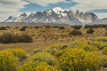 South America, Chile, Patagonia by Danita Delimont
