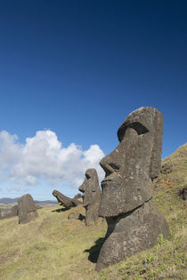 Chile, Easter Island aka Rapa Nui by Danita Delimont