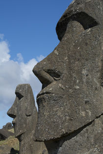 Chile, Easter Island aka Rapa Nui by Danita Delimont