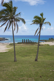 Easter Island aka Rapa Nui by Danita Delimont