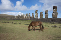 Chile, Easter Island, Hanga Nui by Danita Delimont