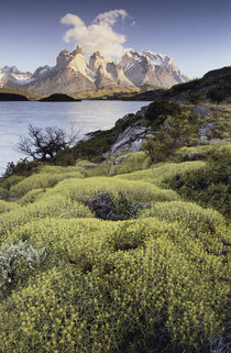 Chile, Torres del Paine National Park by Danita Delimont