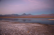 Cejar Pond at Sunset, Atacama Salt Lake von Danita Delimont
