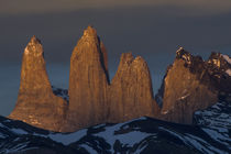 Torres del Paine by Danita Delimont