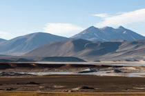 Salar de Talar, Atacama Desert, Chile. von Danita Delimont