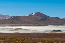Salar de Talar, Atacama Desert, Chile. by Danita Delimont