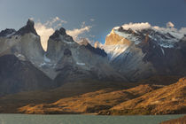 Cordillera del Paine by Danita Delimont