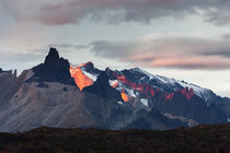 Cordillera del Paine von Danita Delimont