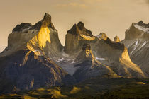 Cordillera del Paine by Danita Delimont