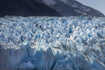 Glacier Grey by Danita Delimont