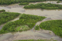 Sandbank in Napo River by Danita Delimont