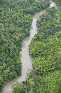 Tiputini River and Rainforest von Danita Delimont