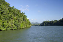 Guatemala, Rio Dulce National Park von Danita Delimont