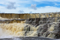 Orinduik Falls, Guyana von Danita Delimont