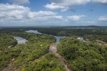 Essequibo River by Danita Delimont