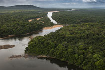 Essequibo River by Danita Delimont