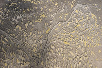 Mud patterns on beach by Danita Delimont