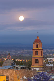 Mexico, San Miguel de Allende by Danita Delimont