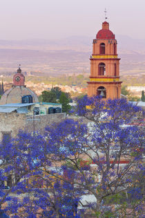 Mexico, San Miguel de Allende by Danita Delimont