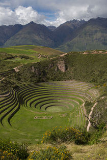 Circular Inca terraces of Moray, Cusco Region, Urubamba Prov... by Danita Delimont