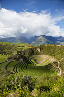 Circular Inca terraces of Moray, Cusco Region, Urubamba Prov... von Danita Delimont
