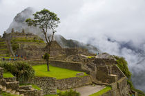 Machu Picchu, Cusco Region, Urubamba Province, Machupicchu D... by Danita Delimont