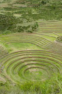 Peru, Moray by Danita Delimont