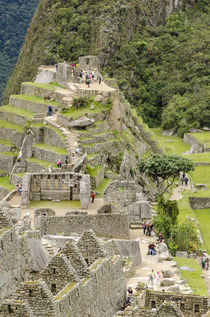 Machu Picchu, Aguas Calientes, Peru. von Danita Delimont