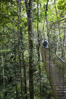 Suspension Bridge in Amazon Natural Park by Danita Delimont
