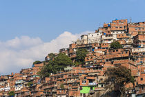Barrios, slums of Caracas on the hillside, Caracas, Venezuela von Danita Delimont
