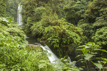 Central America, Costa Rica, Monteverde Cloud Forest Biologi... by Danita Delimont