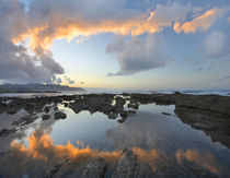 Calm water reflects the sunset clouds, Playa Santa Teresa, Costa Rica by Danita Delimont