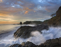 Ostional Beach, Costa Rica von Danita Delimont